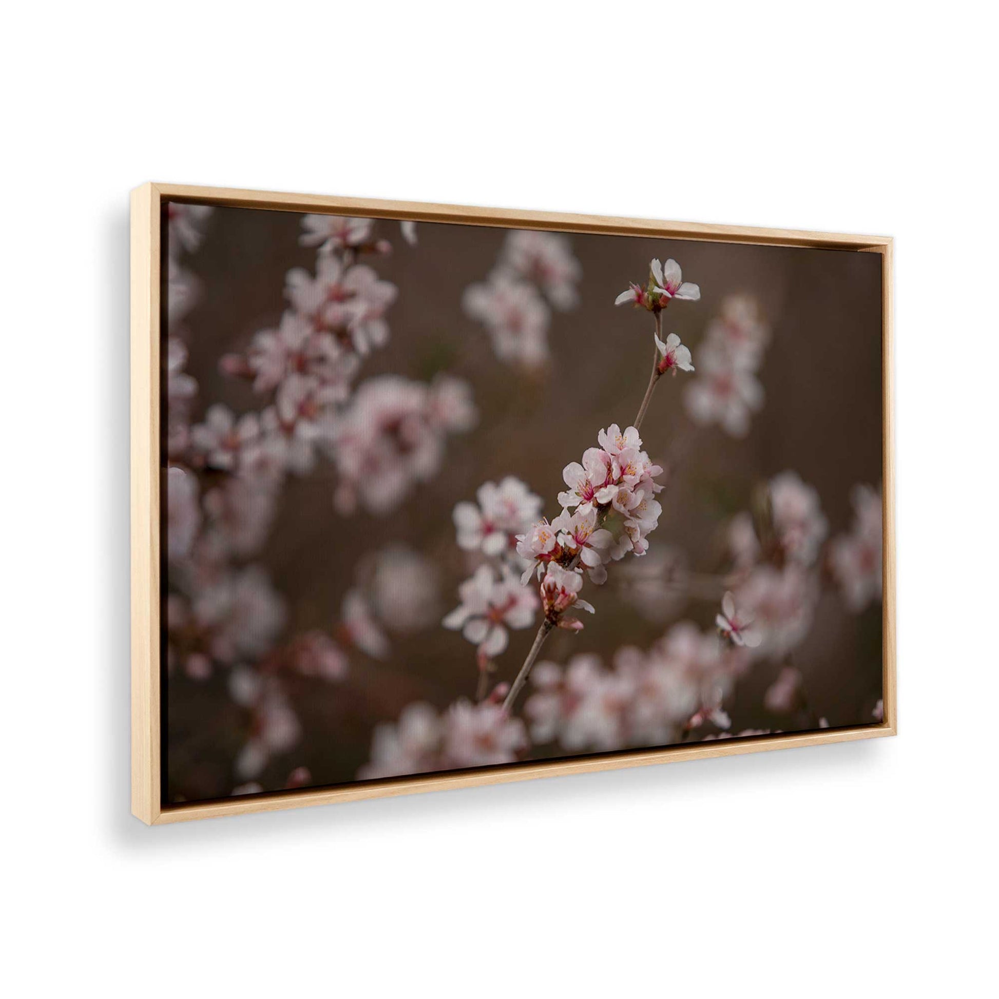 [Color:American Maple], Picture of the corner of the art