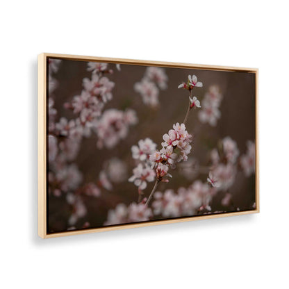 [Color:American Maple], Picture of the corner of the art