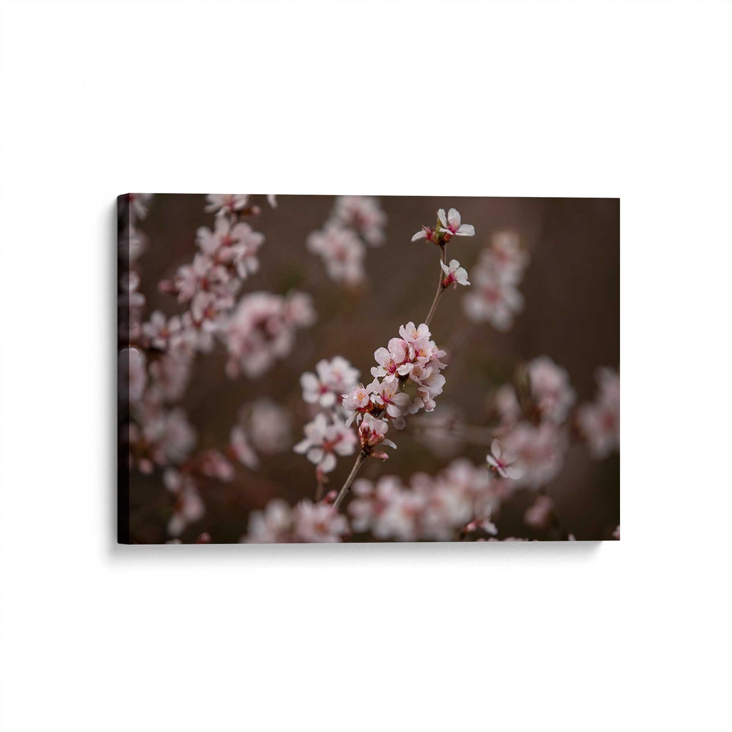 [Color:Stretched Canvas], Picture of art at an angle