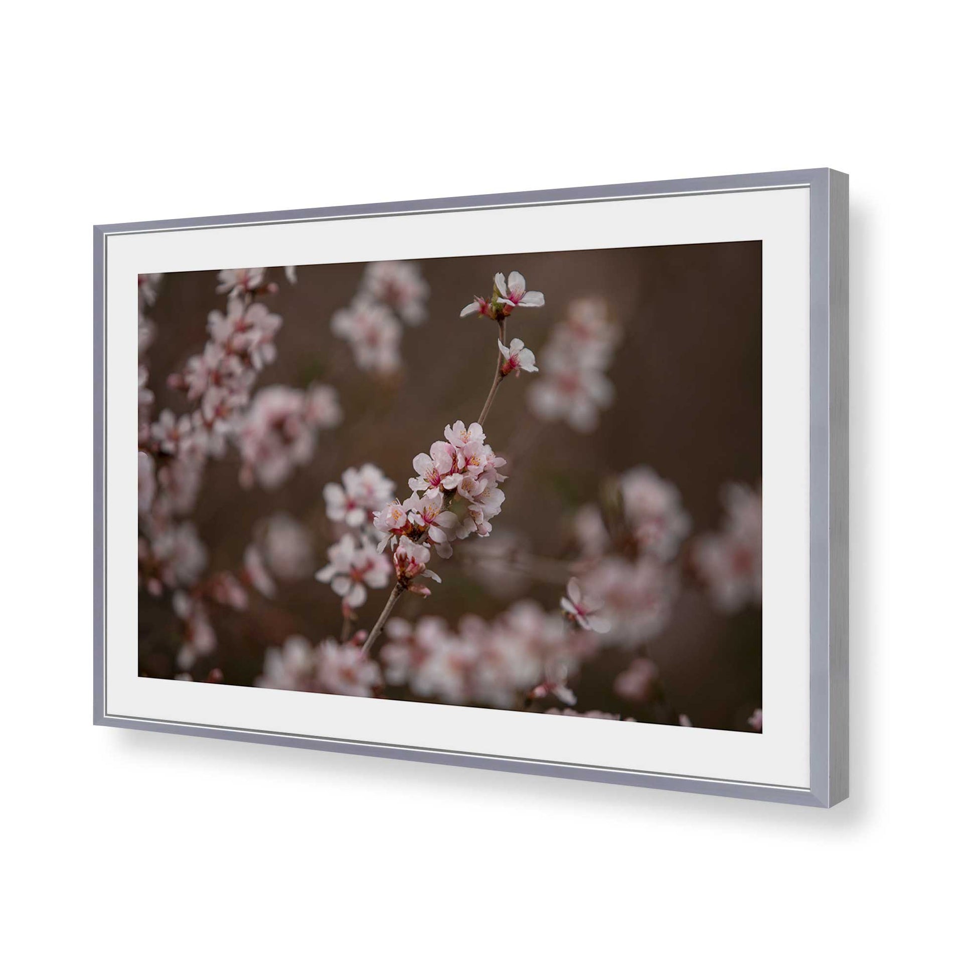[Color:Polished Chrome], Picture of art in a Polished Chrome frame of the corner