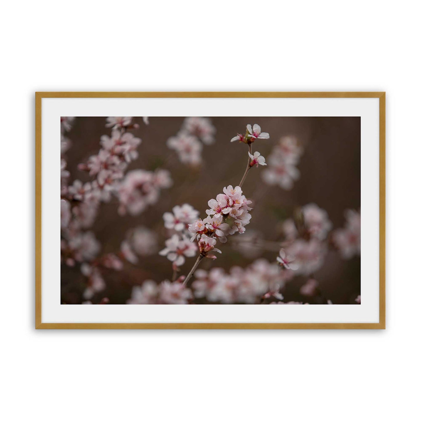 [Color:Polished Gold], Picture of art in a Polished Gold frame