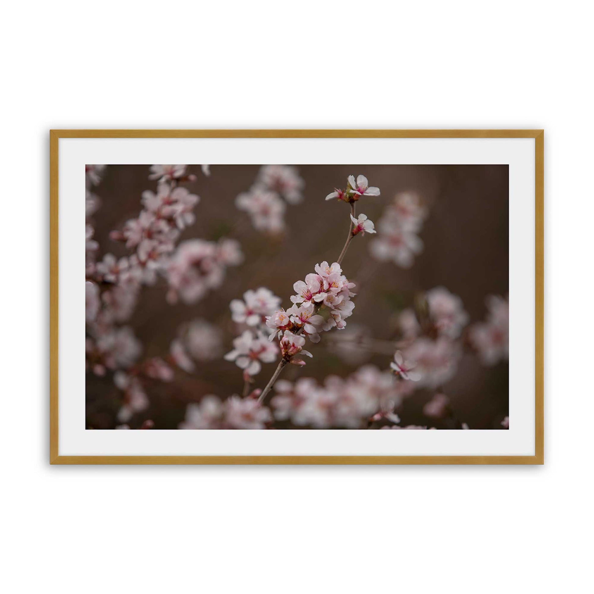 [Color:Polished Gold], Picture of art in a Polished Gold frame