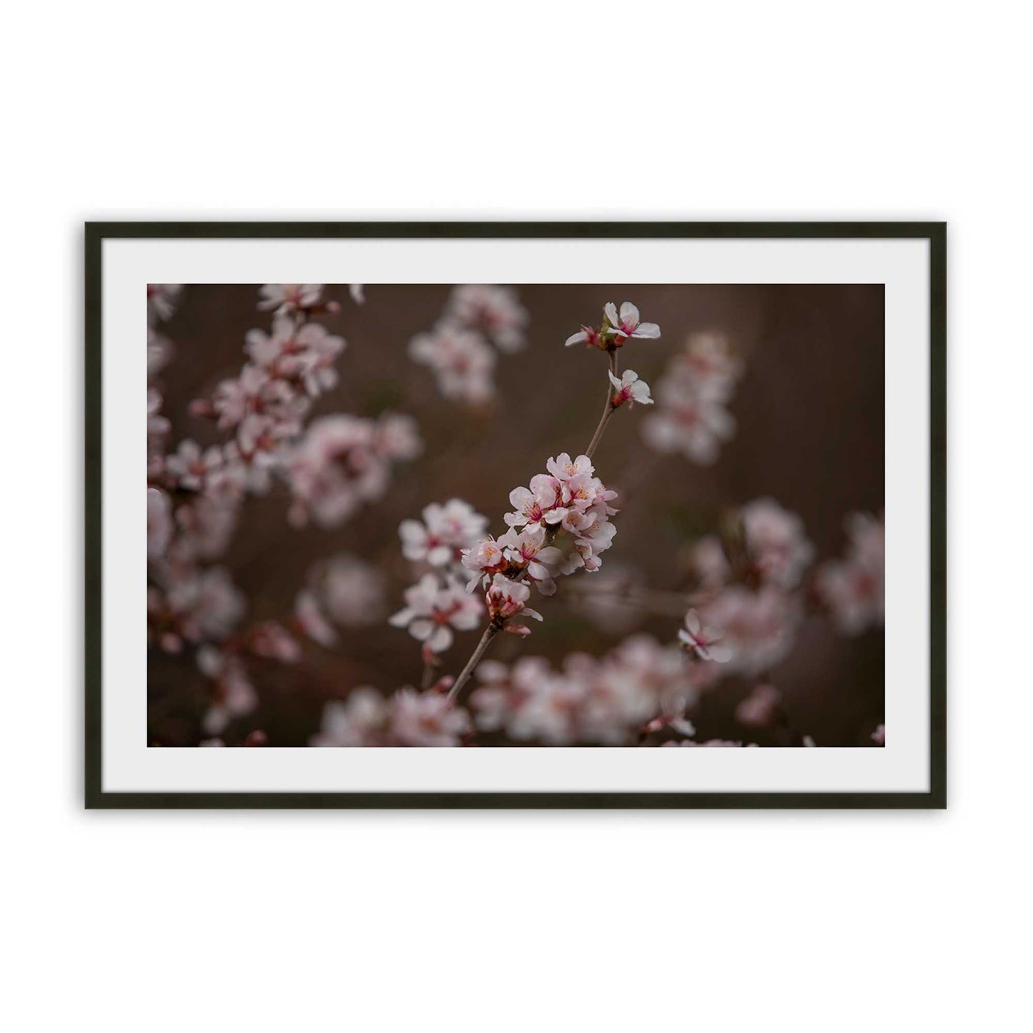 [Color:Satin Black], Picture of art in a Satin Black frame