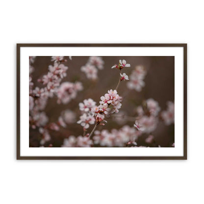[Color:Brown], Picture of art in a Brown frame