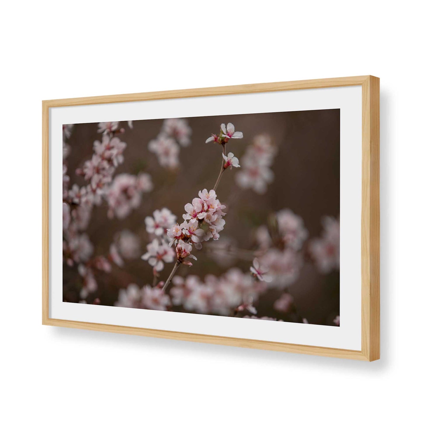 [Color:American Maple], Picture of art in a American Maple frame of the corner