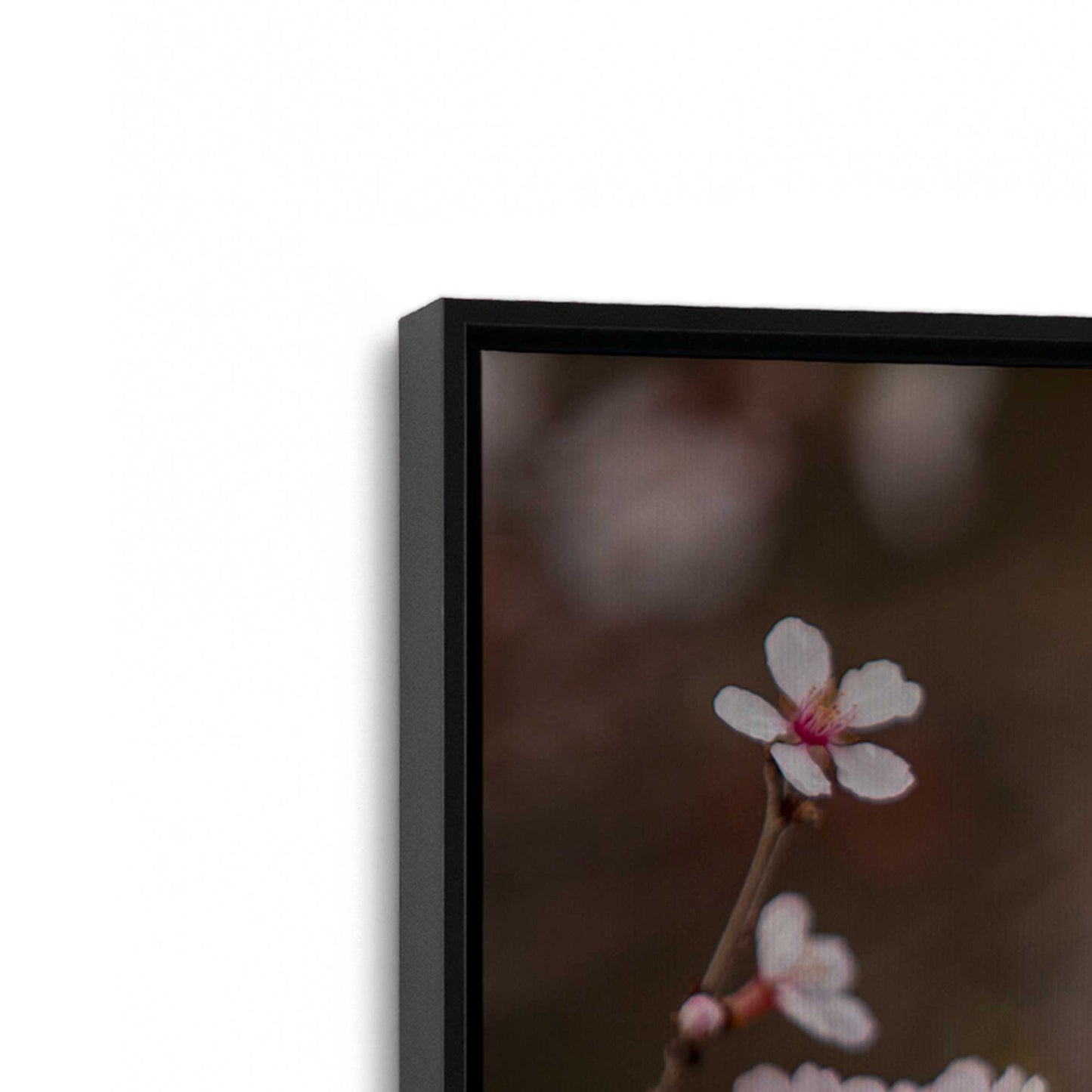 [Color:Satin Black], Picture of art in a Satin Black frame at an angle