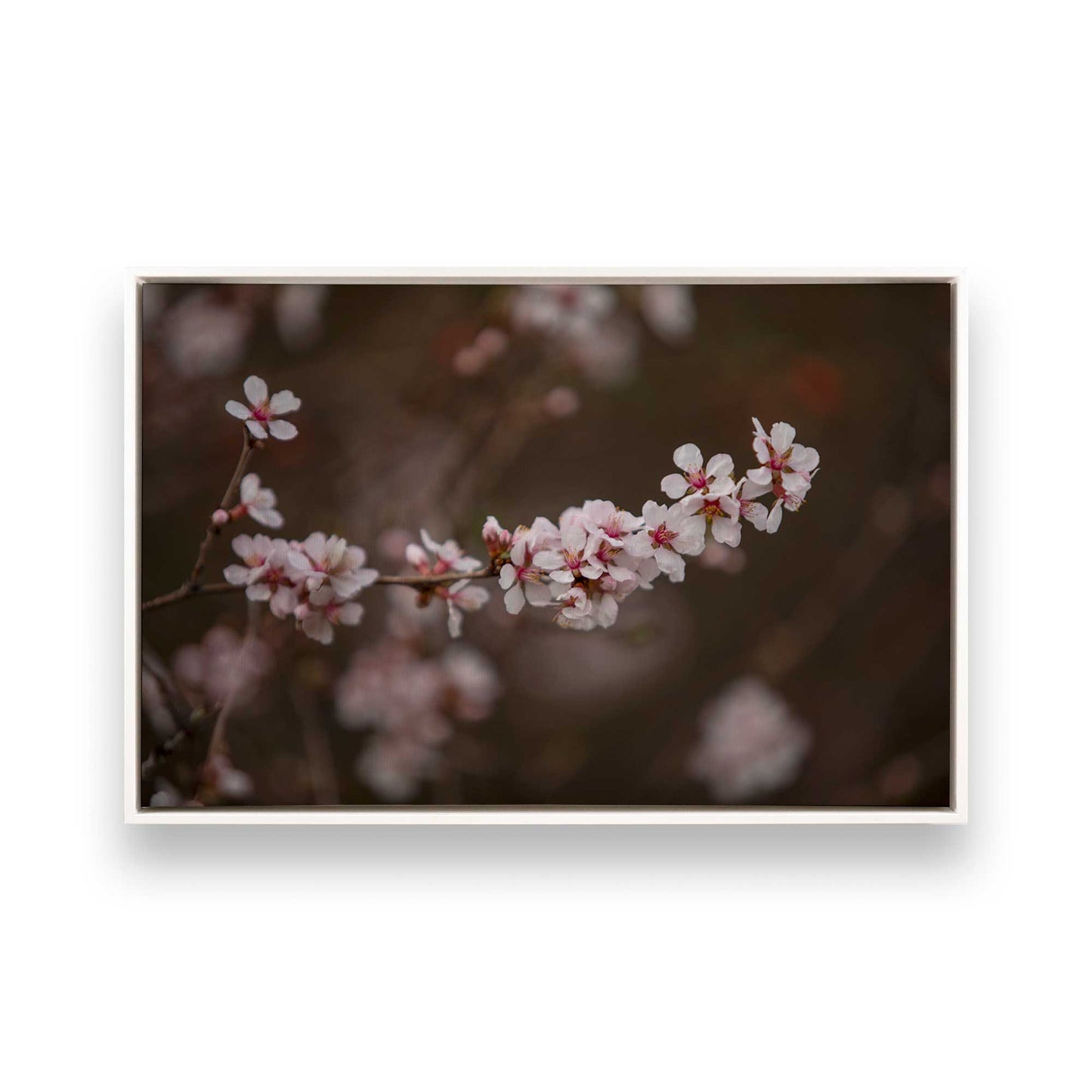 [Color:Opaque White], Picture of art in a White frame