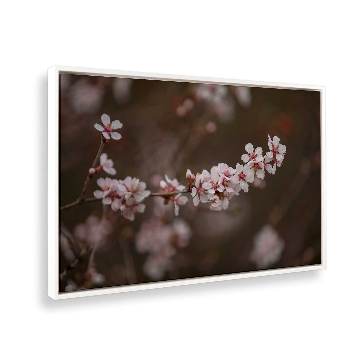[Color:Opaque White], Picture of the corner of the art