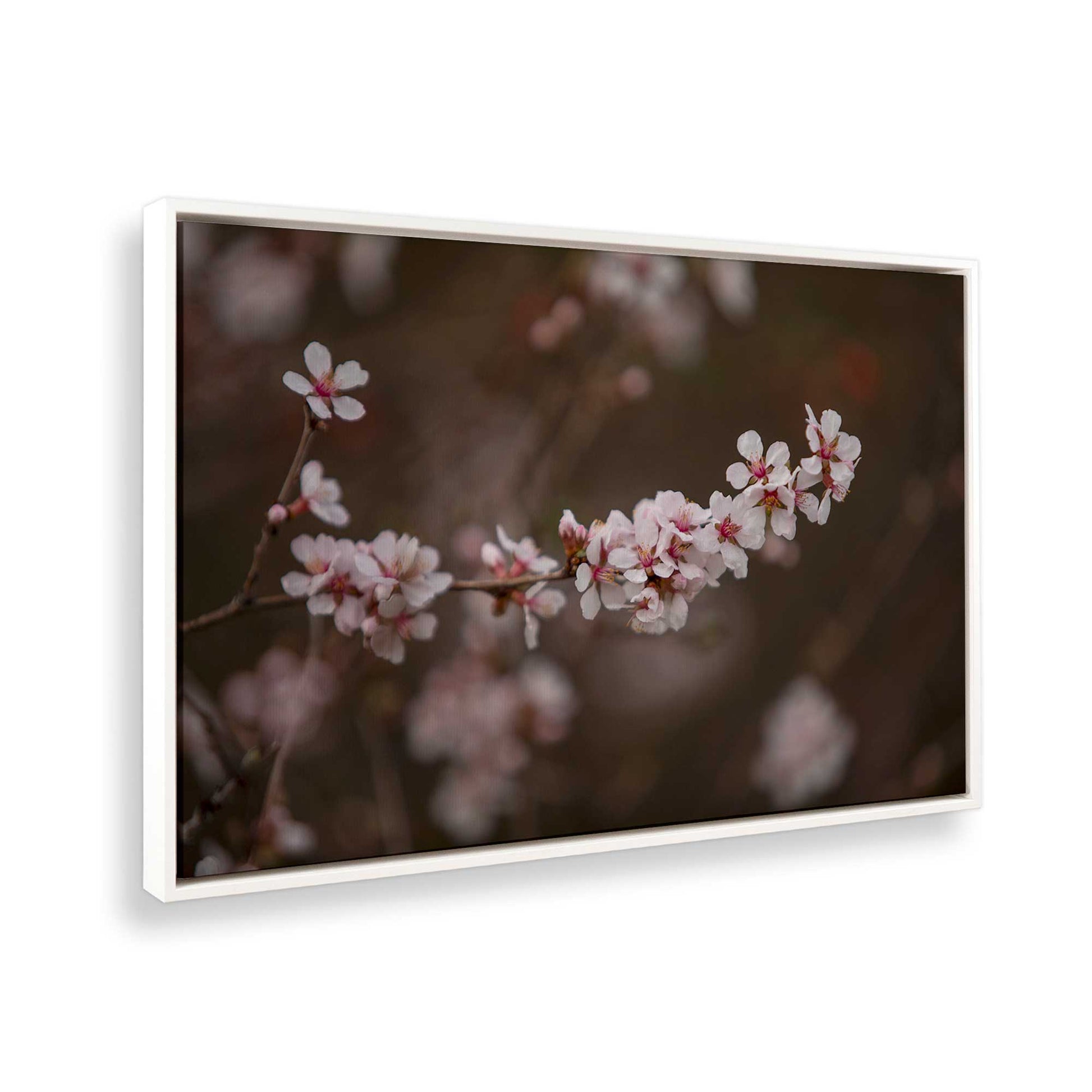 [Color:Opaque White], Picture of the corner of the art