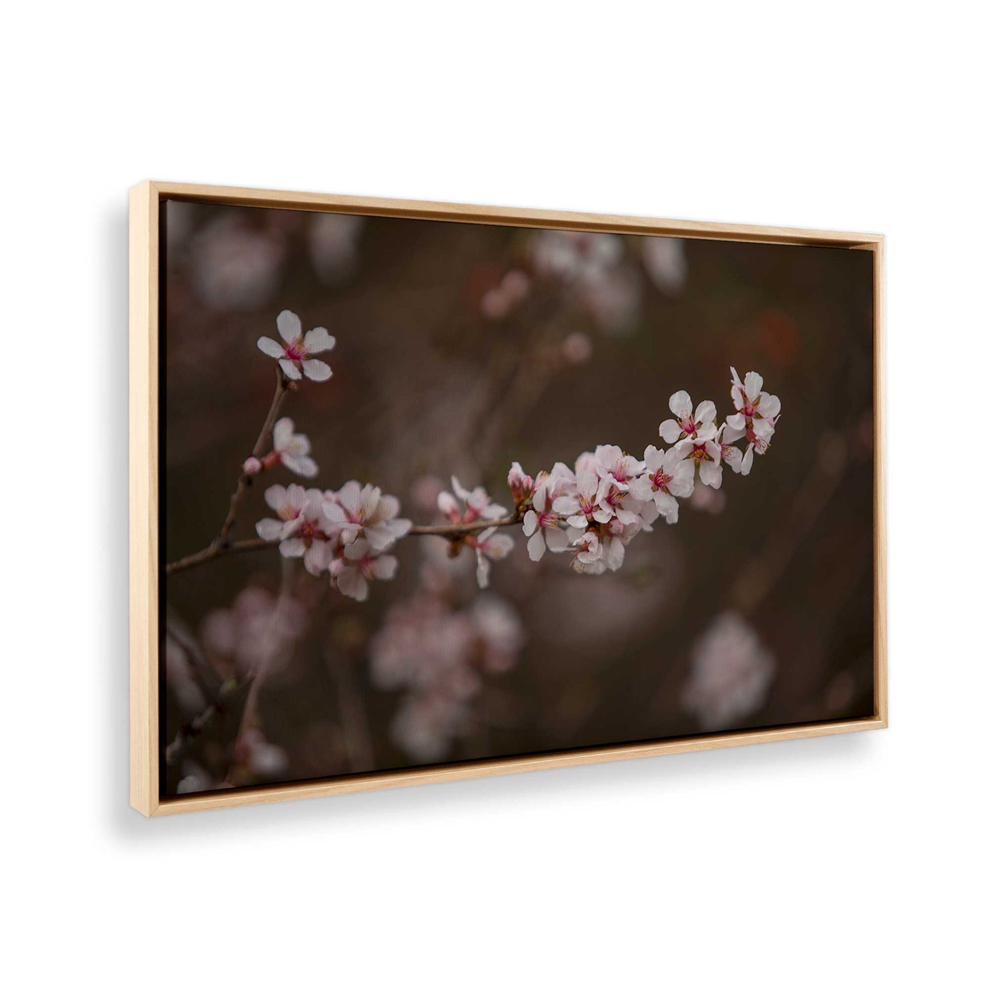 [Color:American Maple], Picture of the corner of the art