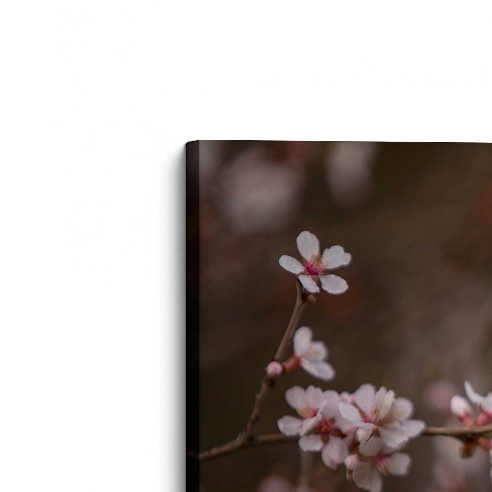 [Color:Stretched Canvas], Picture of the corner of the art