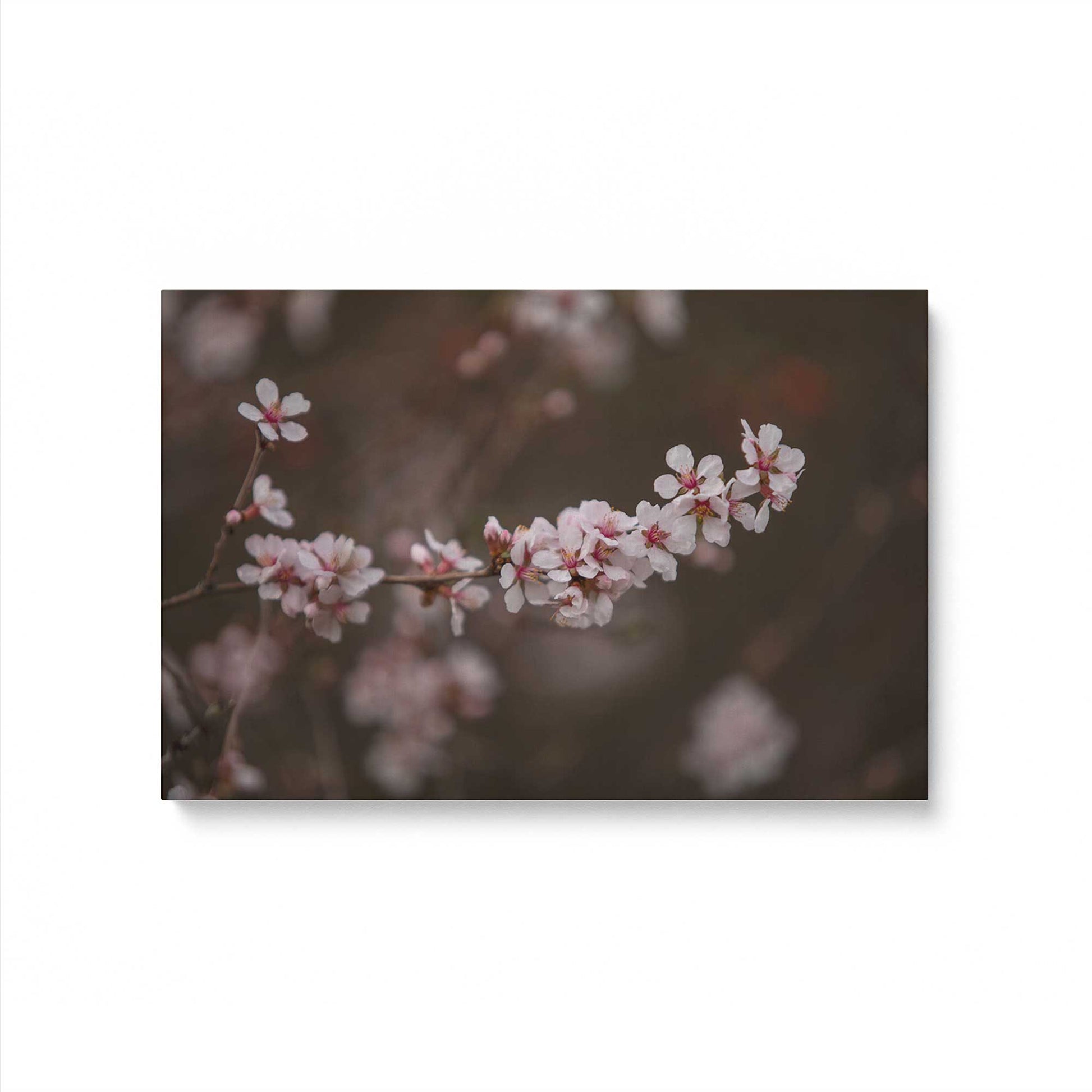 [Color:Stretched Canvas], Picture of art