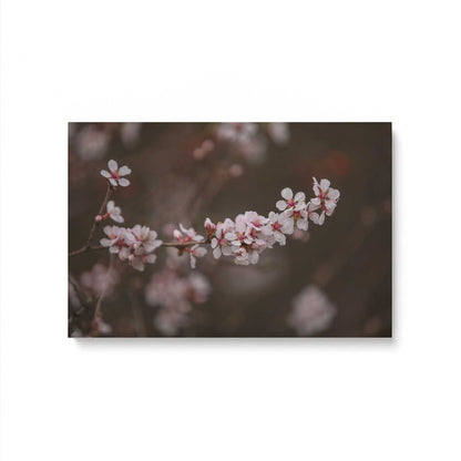 [Color:Stretched Canvas], Picture of art