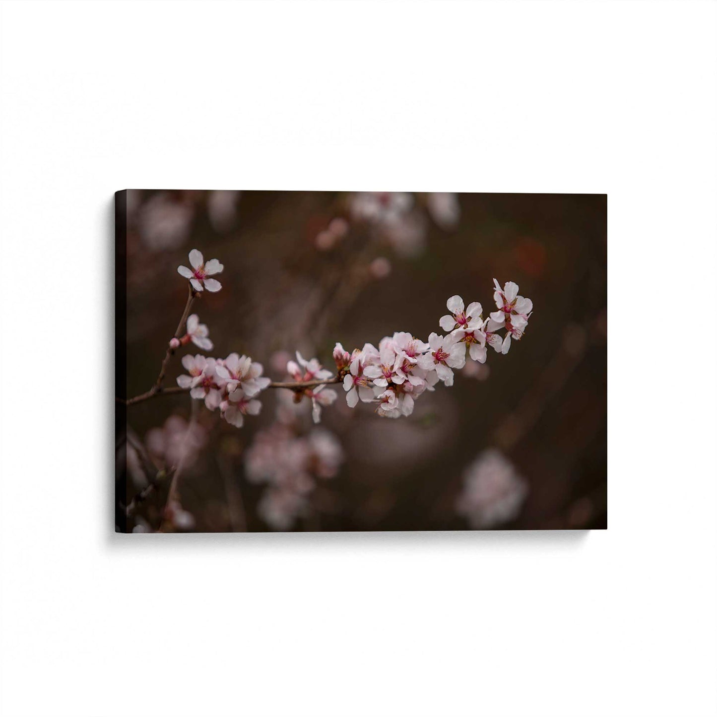 [Color:Stretched Canvas], Picture of art at an angle