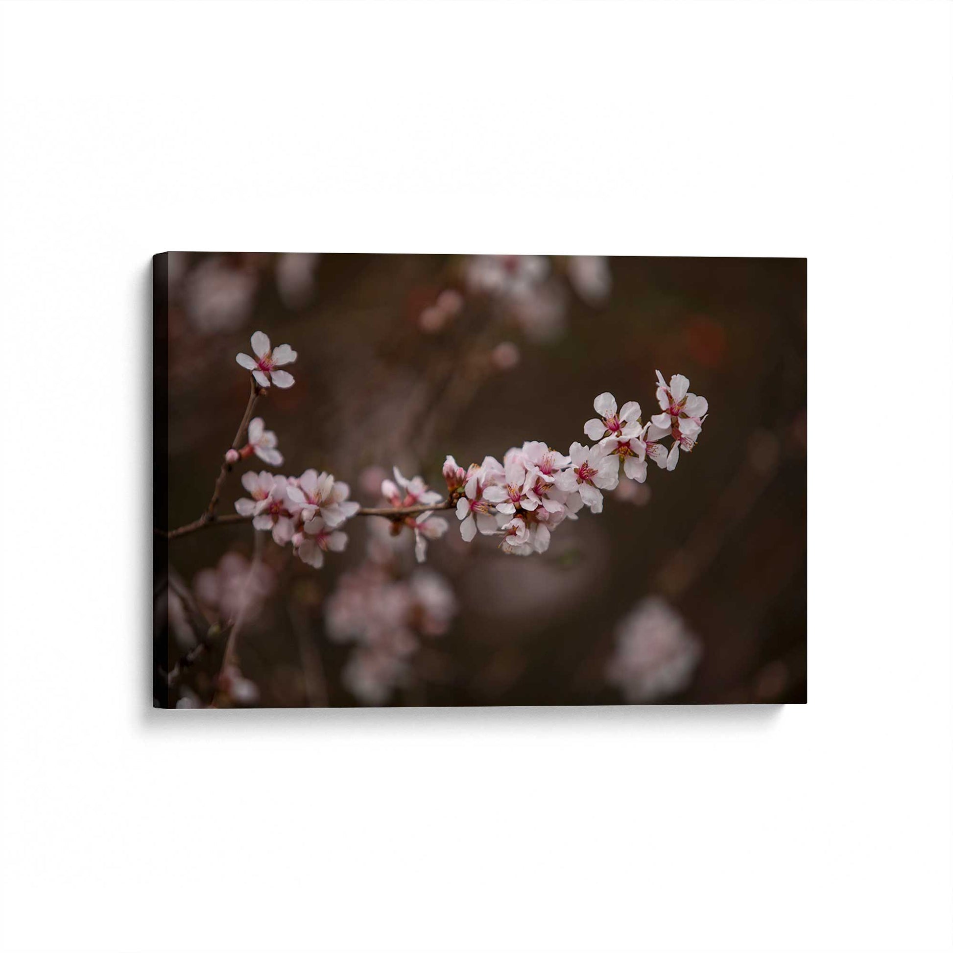 [Color:Stretched Canvas], Picture of art at an angle