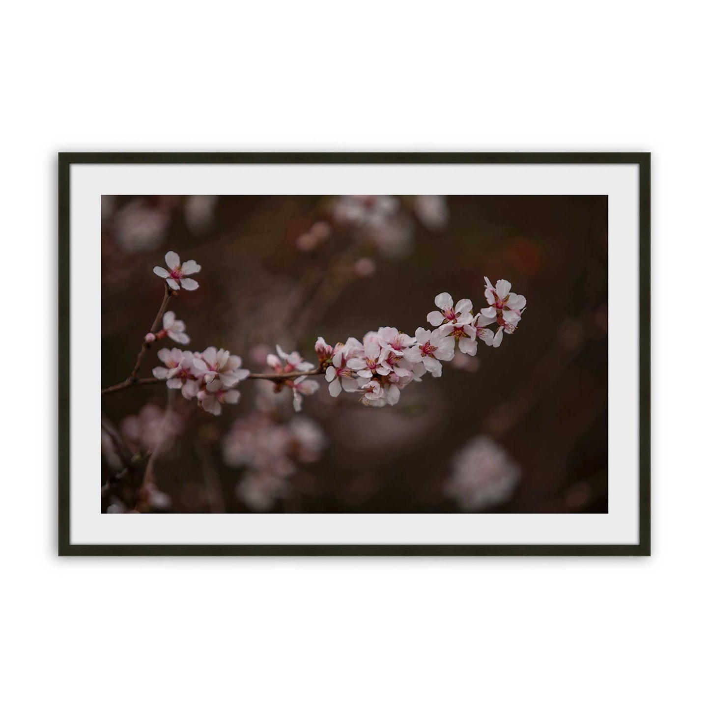 [Color:Satin Black], Picture of art in a Satin Black frame