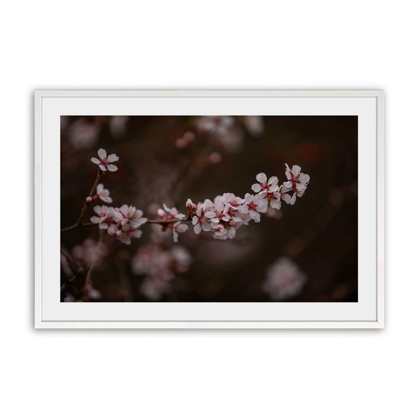 [Color:Opaque White], Picture of art in a Opaque White frame