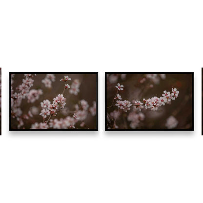 [Color:Satin Black], Picture of art in a Satin Black frame
