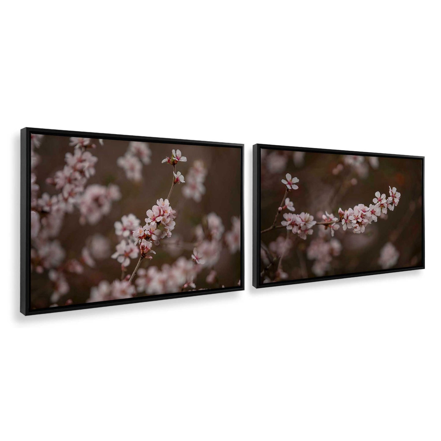 [Color:Satin Black], Picture of art in a Satin Black frame at an angle