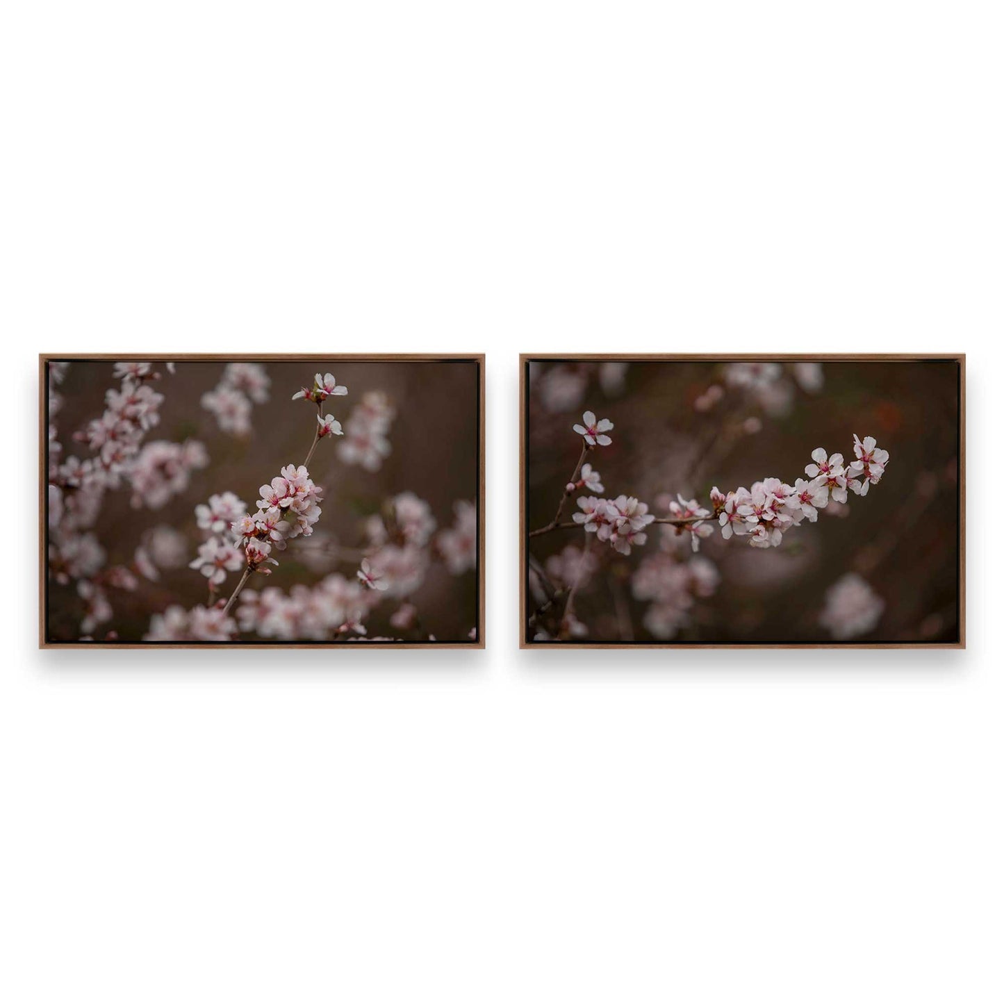 [Color:Walnut], Picture of art in a Walnut frame