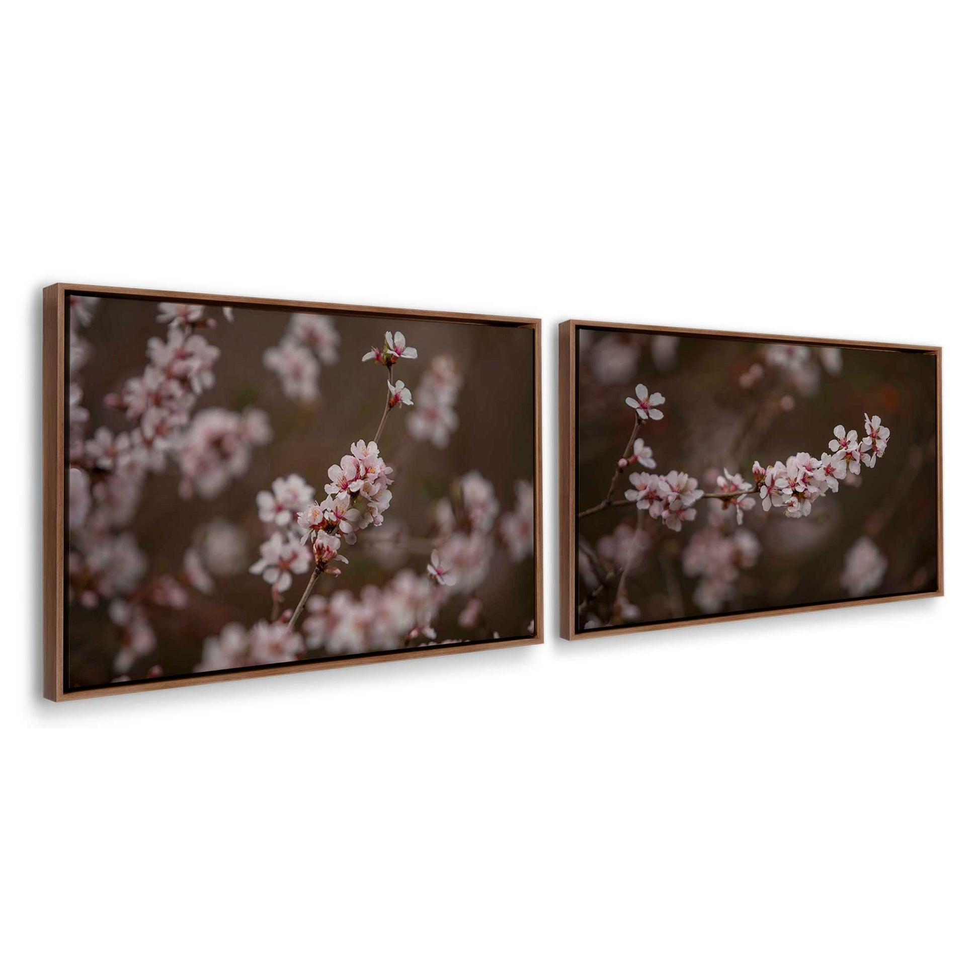 [Color:Walnut], Picture of art in a Walnut frame at an angle