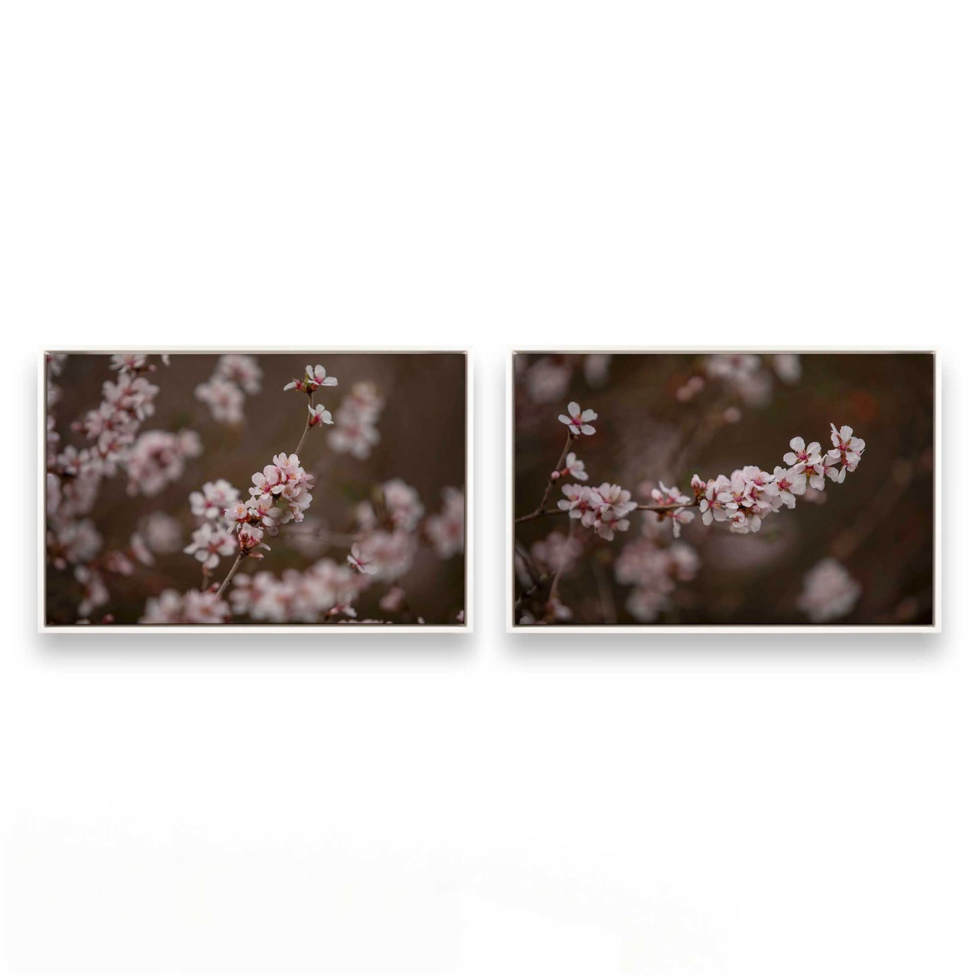 [Color:Opaque White], Picture of art in a White frame