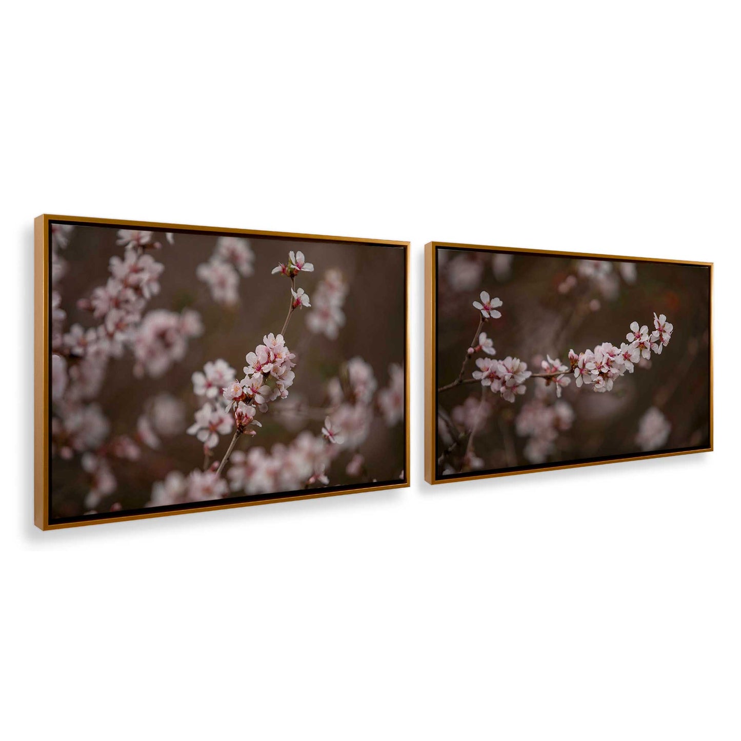 [Color:Polished Gold], Picture of art in a Polished Gold frame at an angle