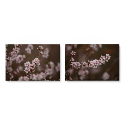 [Color:Stretched Canvas], Picture of art