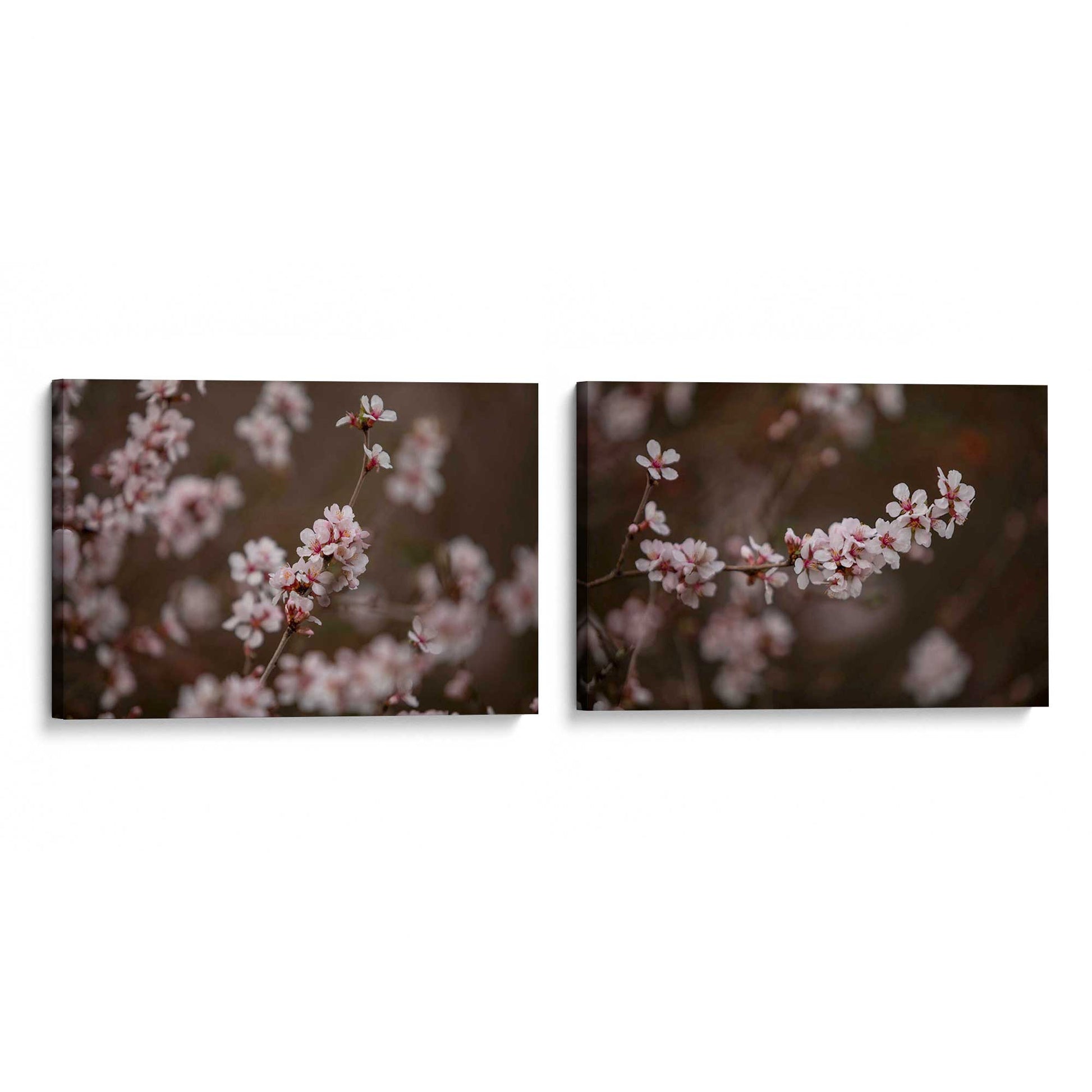 [Color:Stretched Canvas], Picture of art at an angle