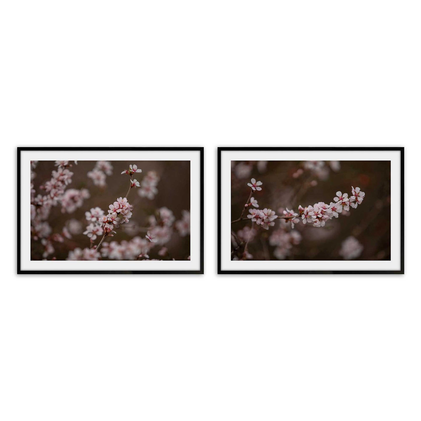 [Color:Satin Black], Picture of art in a Satin Black frame