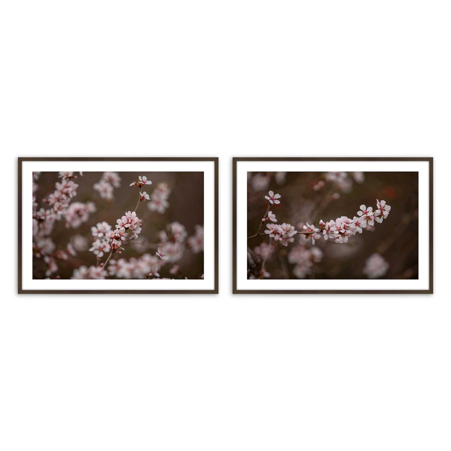 [Color:Belvinder Brown], Picture of art in a Belvinder Brown frame