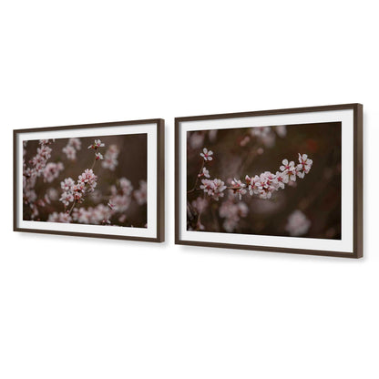 [Color:Belvinder Brown], Picture of art in a Belvinder Brown frame at an angle