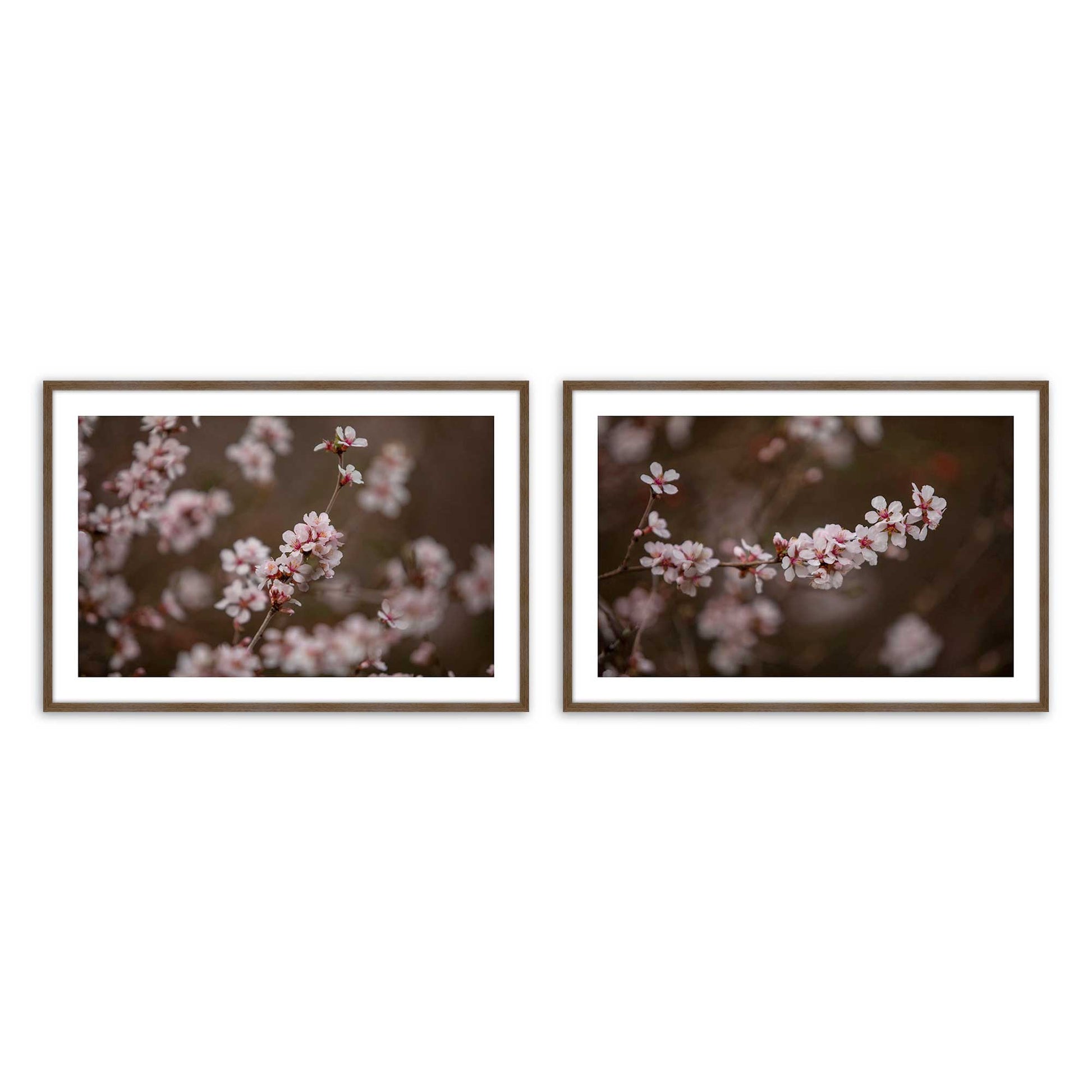[Color:Walnut], Picture of art in a Walnut frame