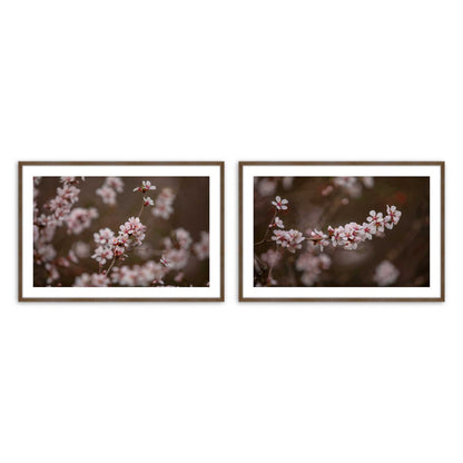 [Color:Walnut], Picture of art in a Walnut frame