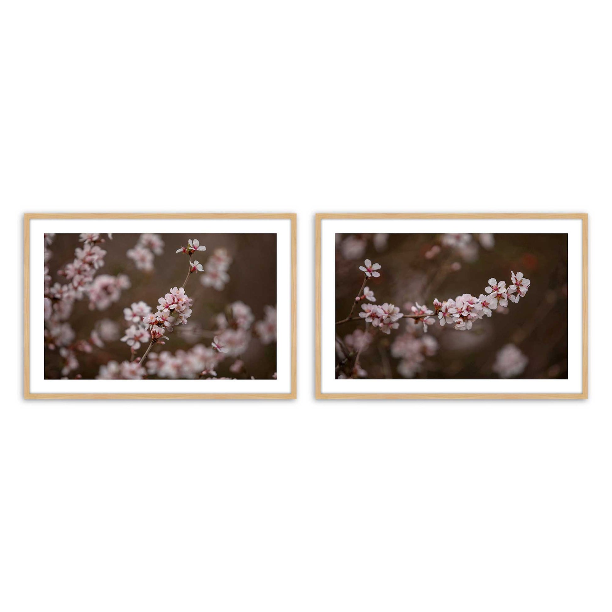 [Color:American Maple], Picture of art in a American Maple frame