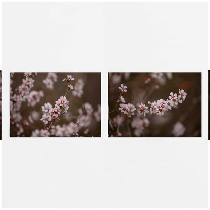 [color:Rolled Print], Picture of close up of art