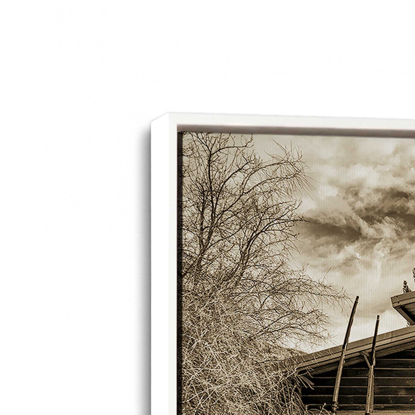 [Color:Opaque White], Picture of the corner of the art