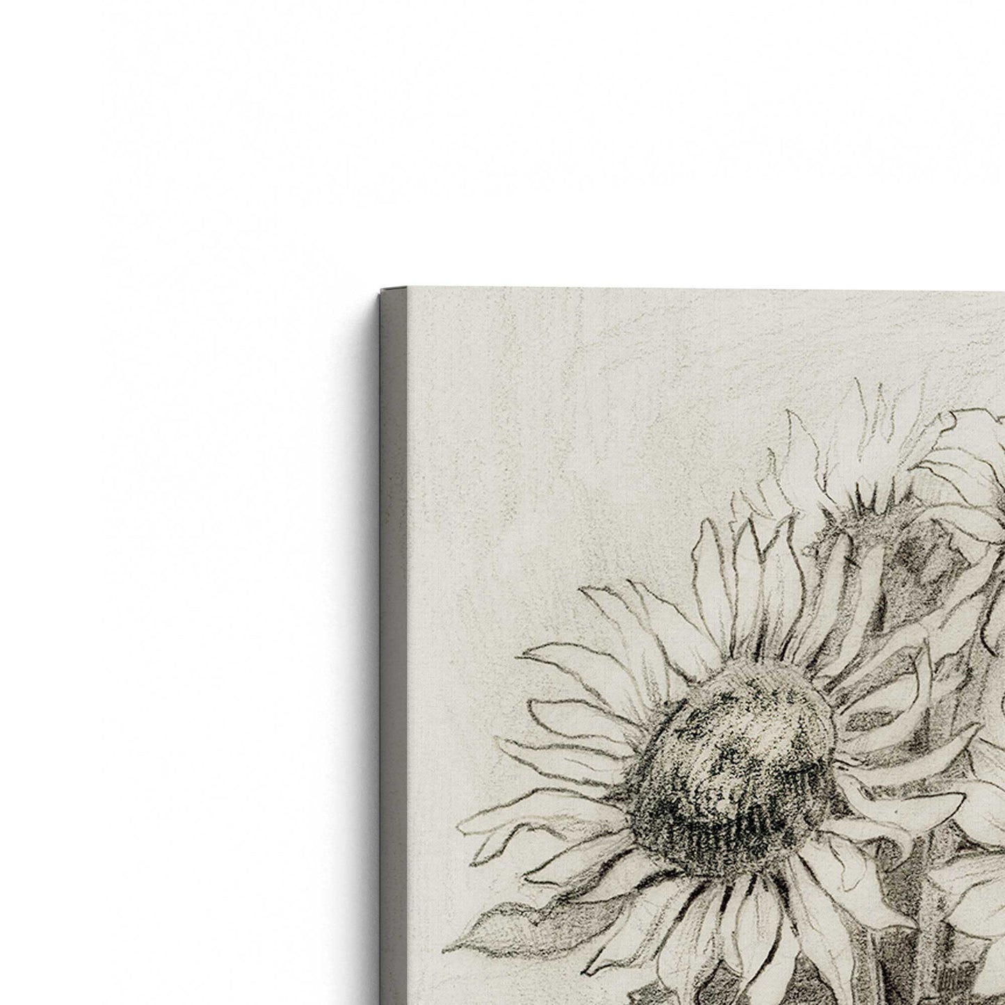 [Color:Stretched Canvas], Picture of the corner of the art