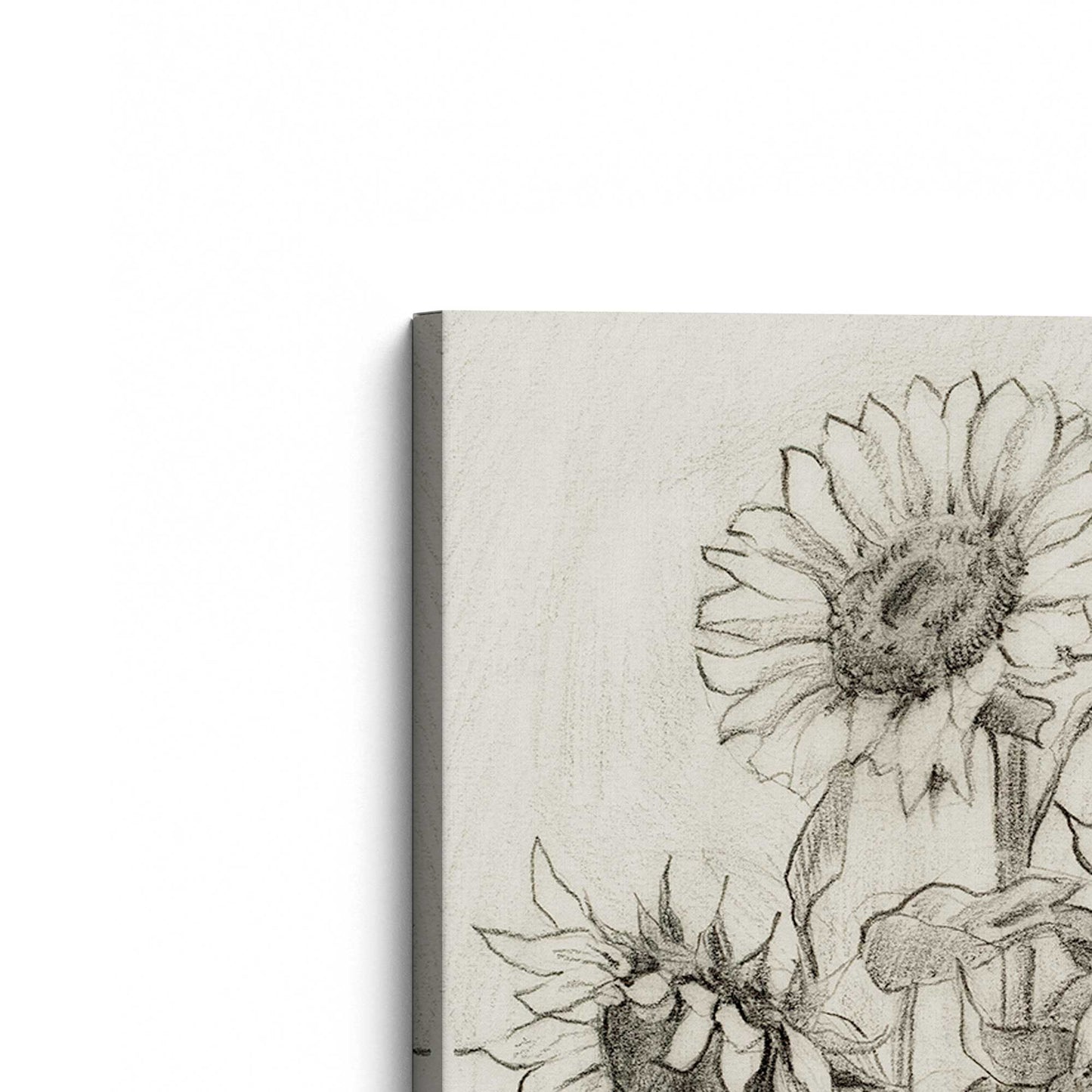 [Color:Stretched Canvas], Picture of the corner of the art