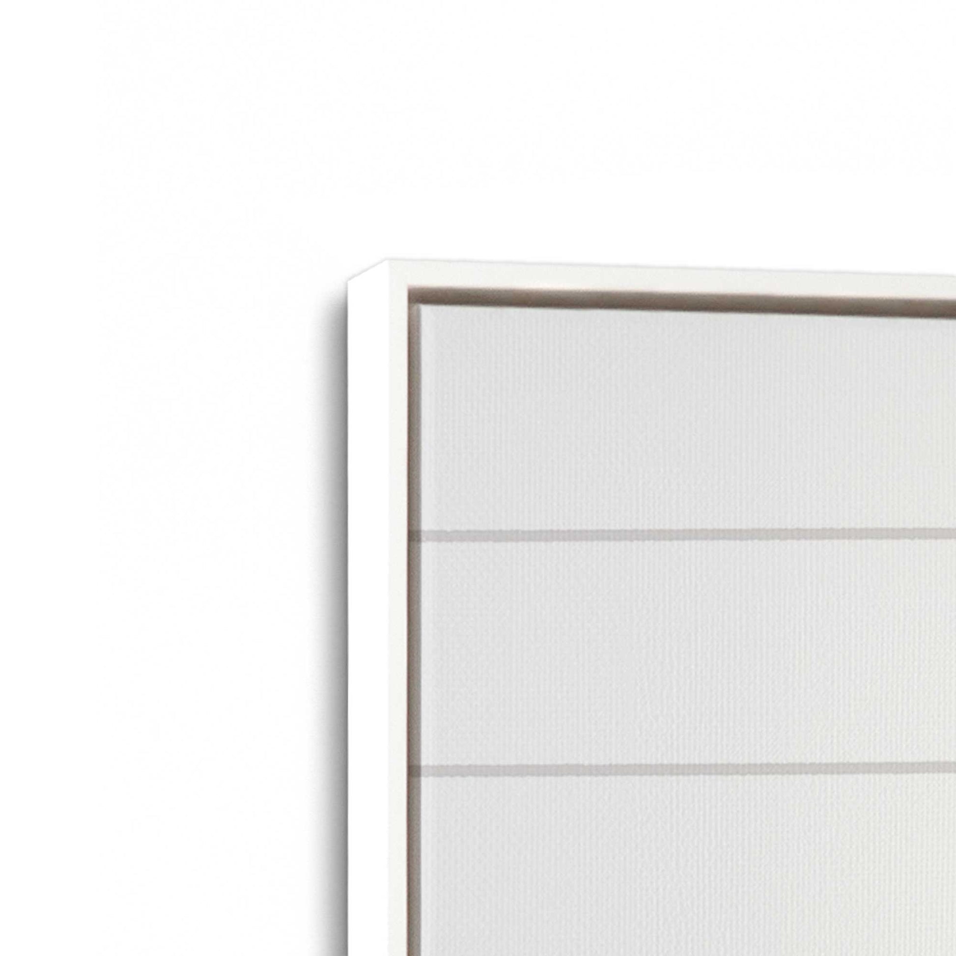 [Color:Opaque White], Picture of art in a White frame at an angle