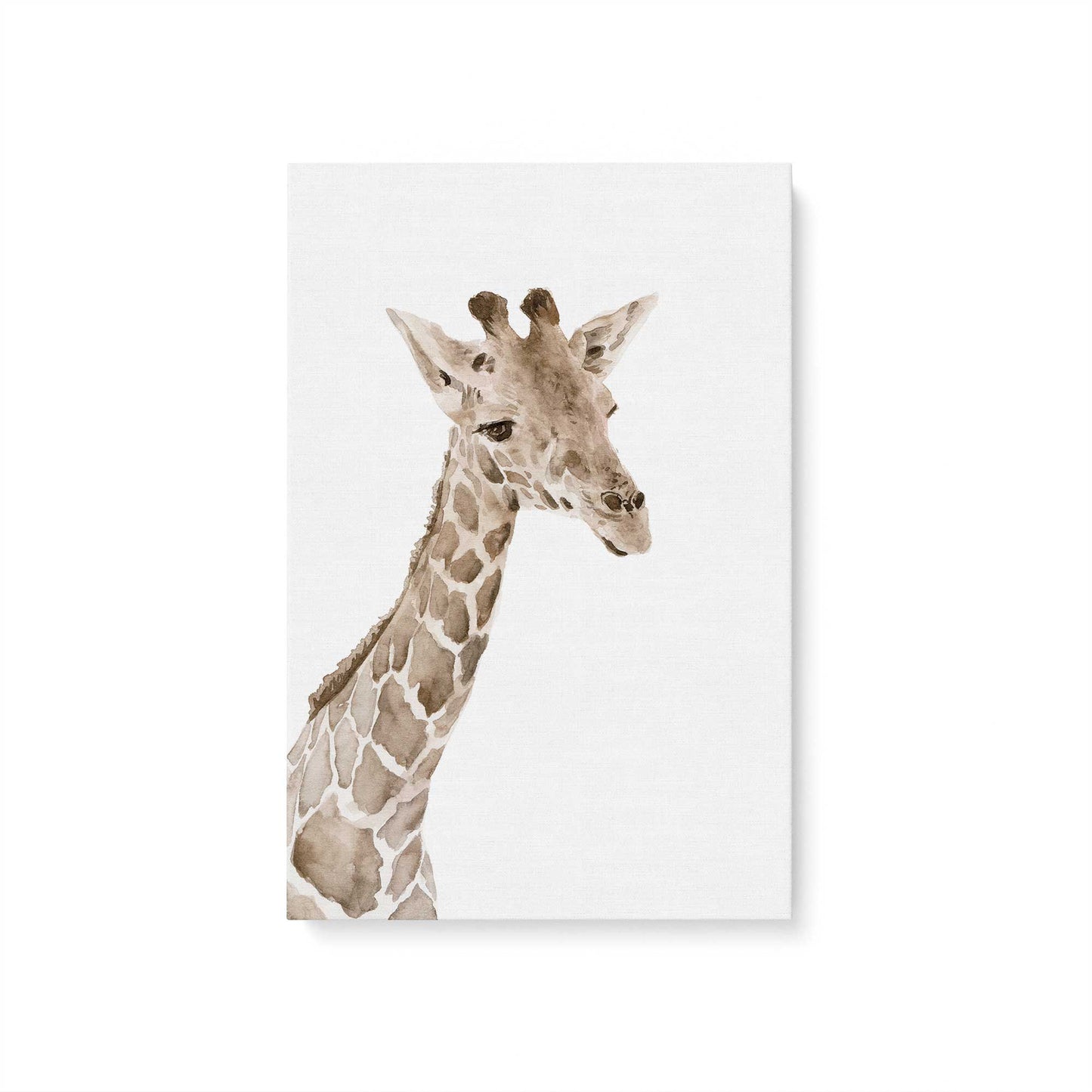 [Color:Stretched Canvas], Picture of art