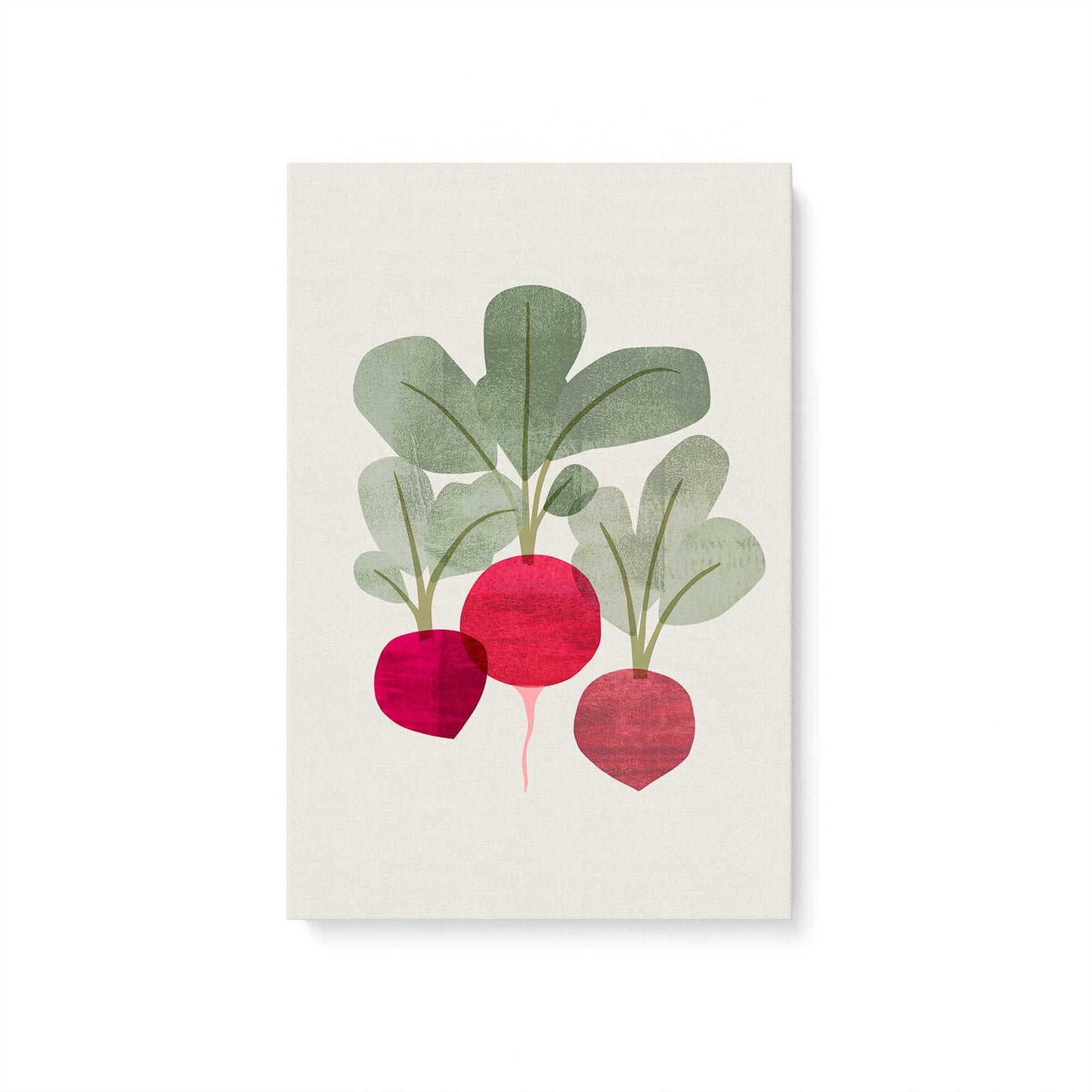 [Color:Stretched Canvas], Picture of art