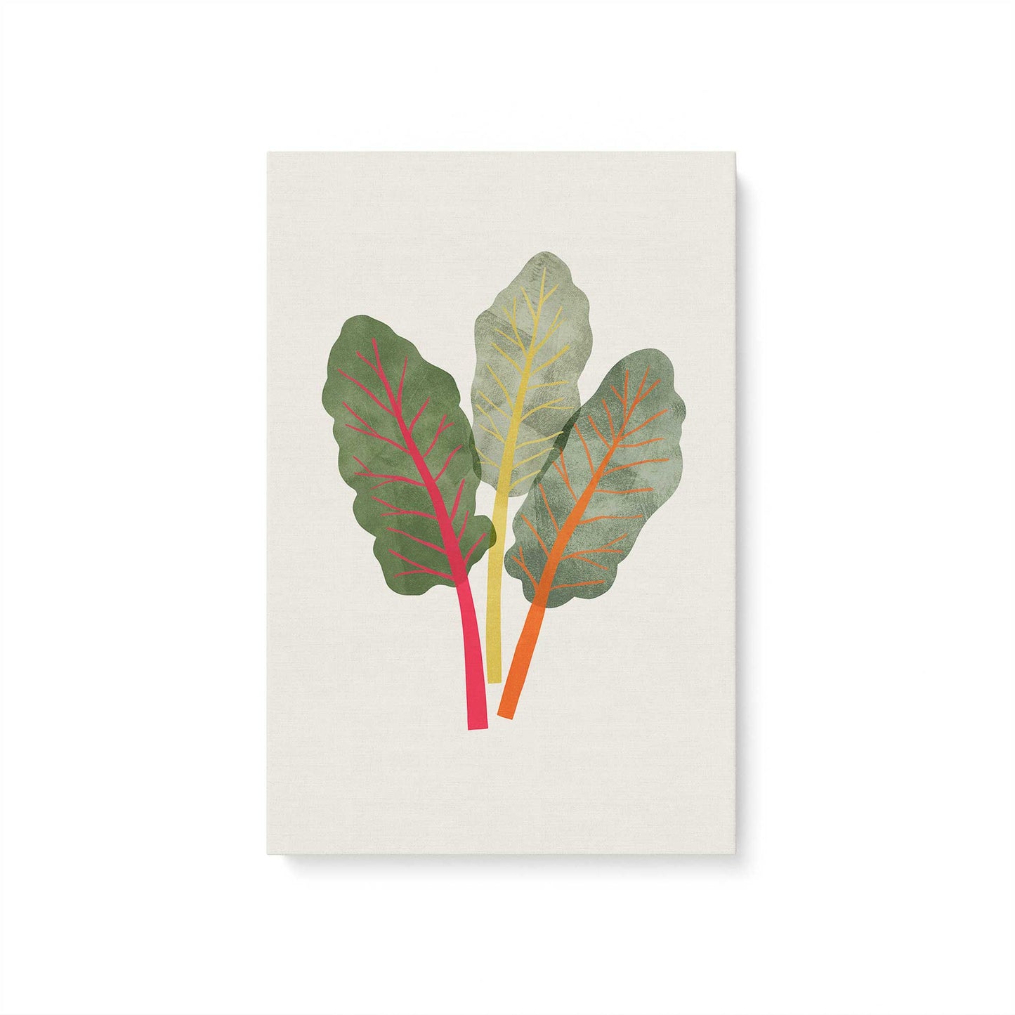 [Color:Stretched Canvas], Picture of art