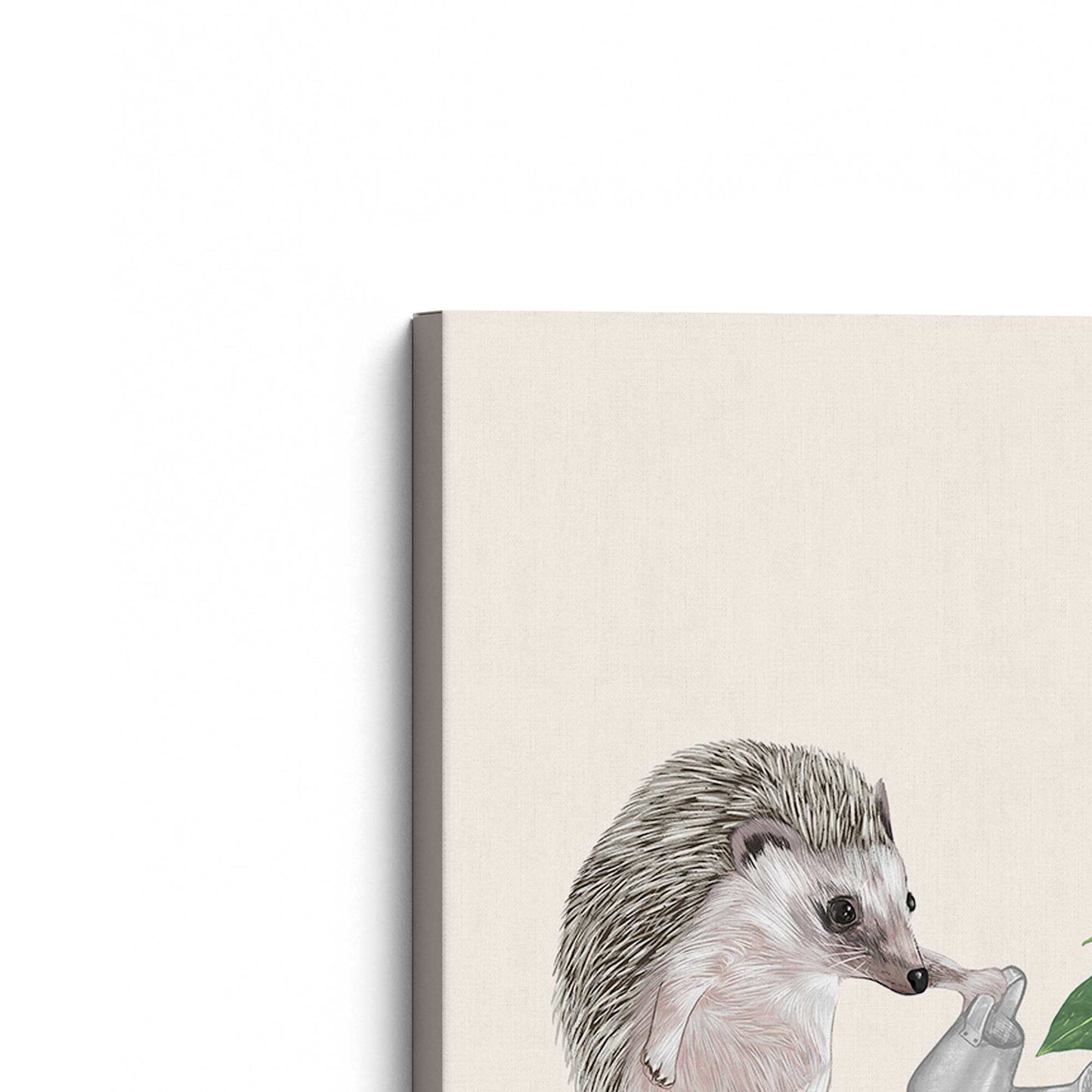 [Color:Stretched Canvas], Picture of the corner of the art