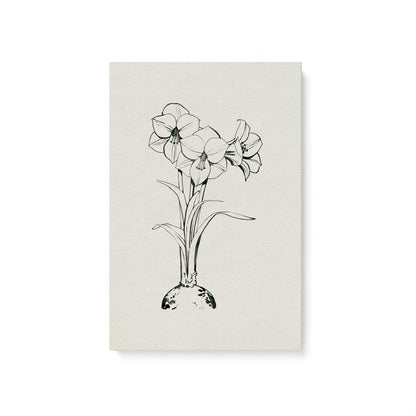 [Color:Stretched Canvas], Picture of art