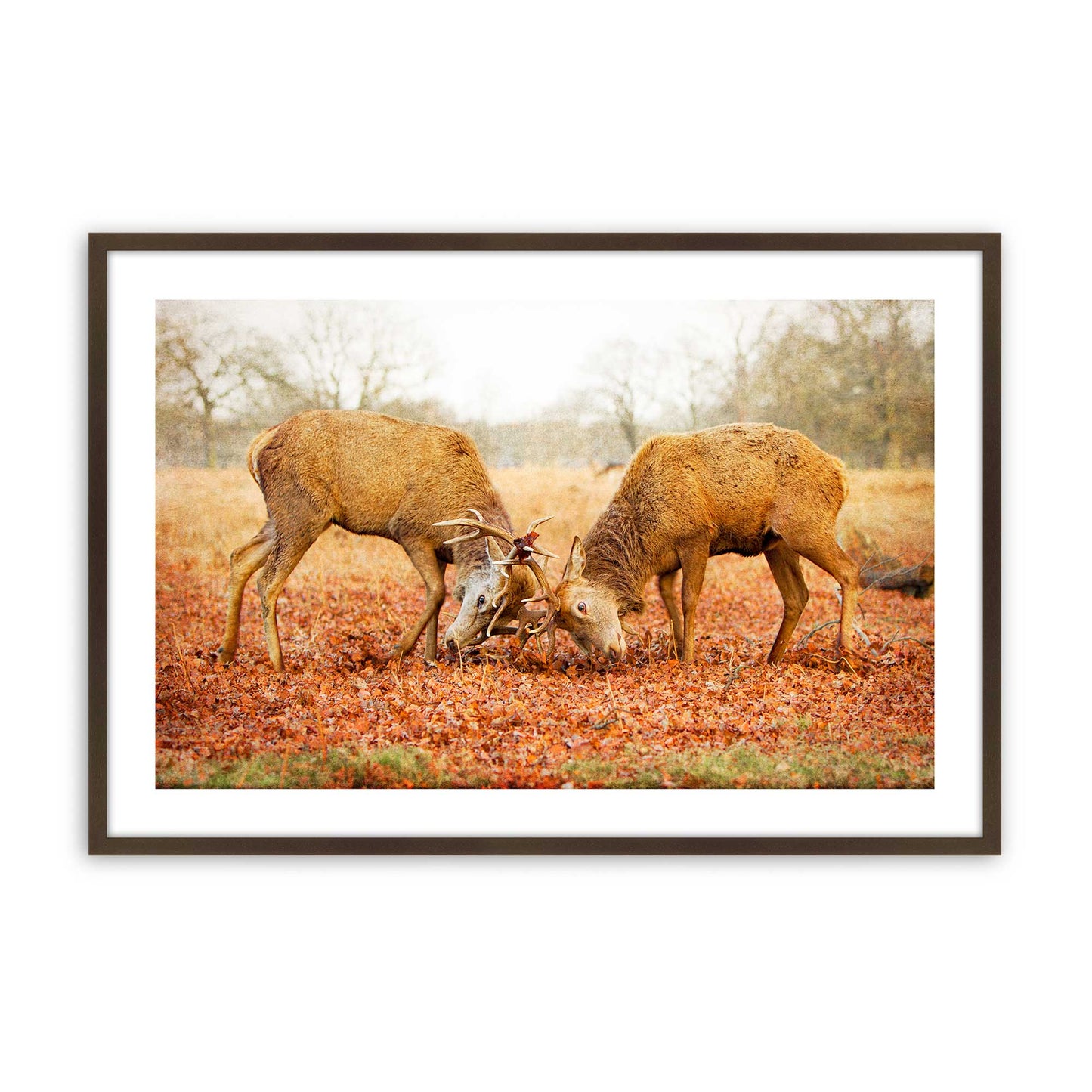 [Color:Brown], Picture of art in a Brown frame