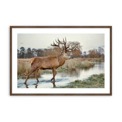 [Color:Walnut], Picture of art in a Walnut frame