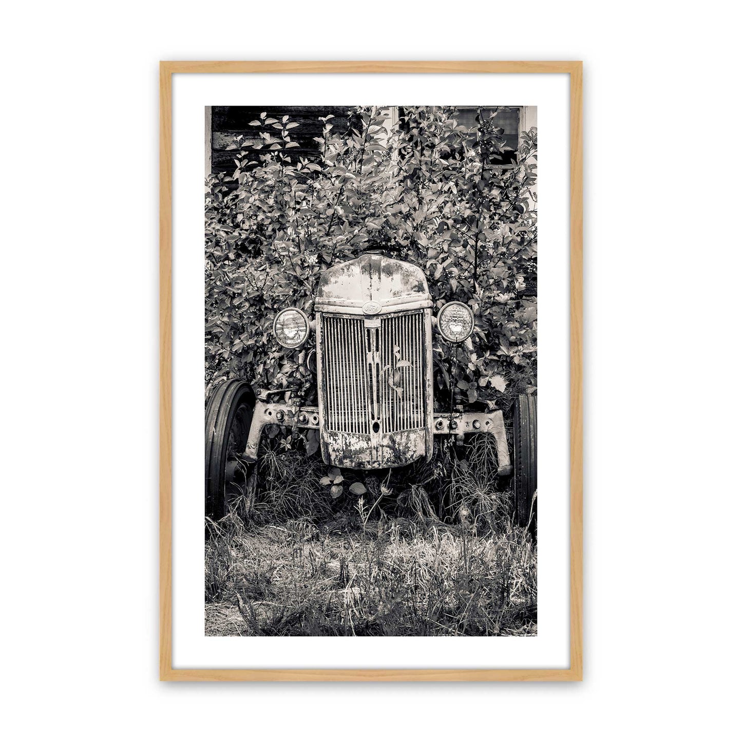 [Color:American Maple], Picture of art in a American Maple frame