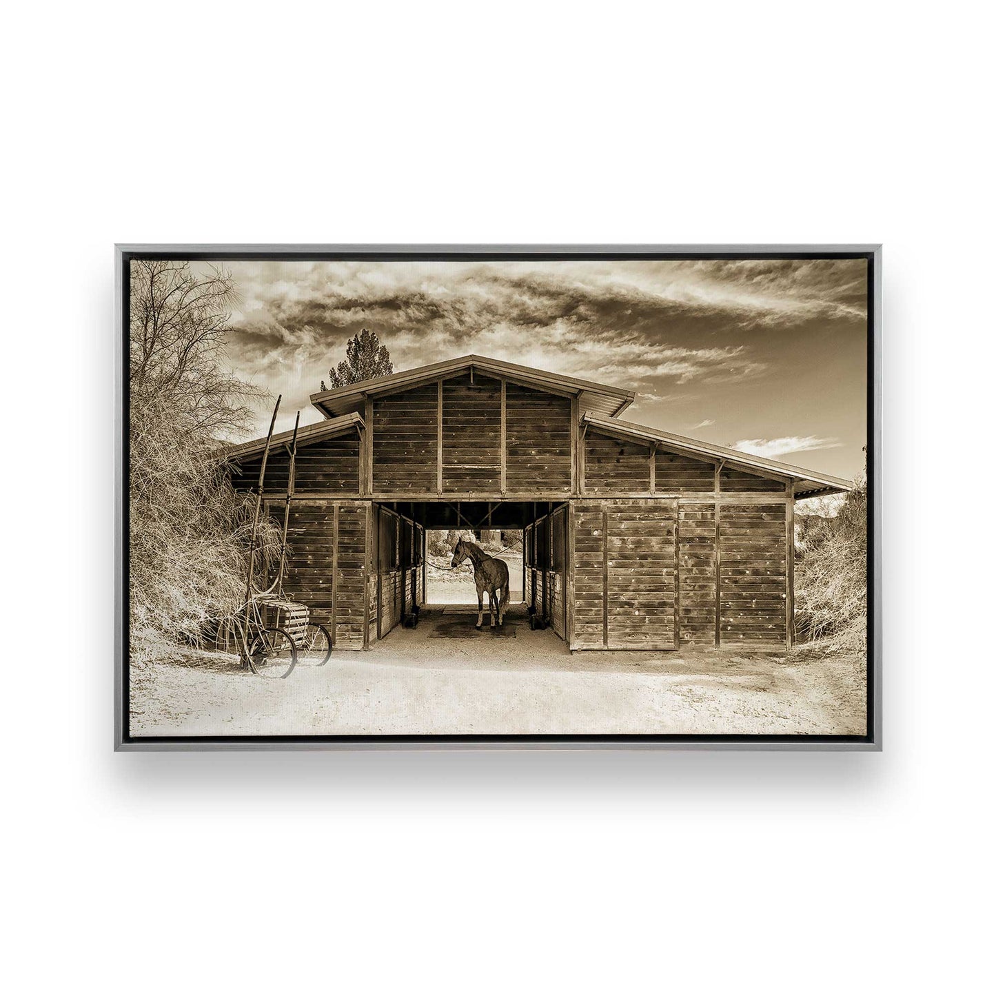 [Color:Polished Chrome], Picture of art in a Polished Chrome frame