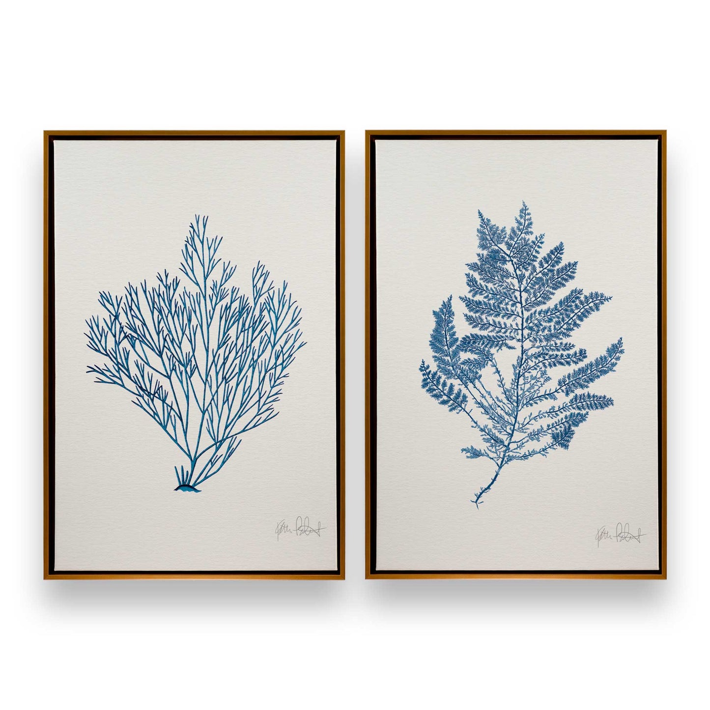 [Color:Polished Gold], Picture of art in a Polished Gold frame
